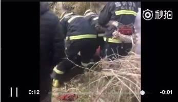 花果园爆料女子下跪视频,真相与争议 第3张 花果园爆料女子下跪视频,真相与争议 第3张